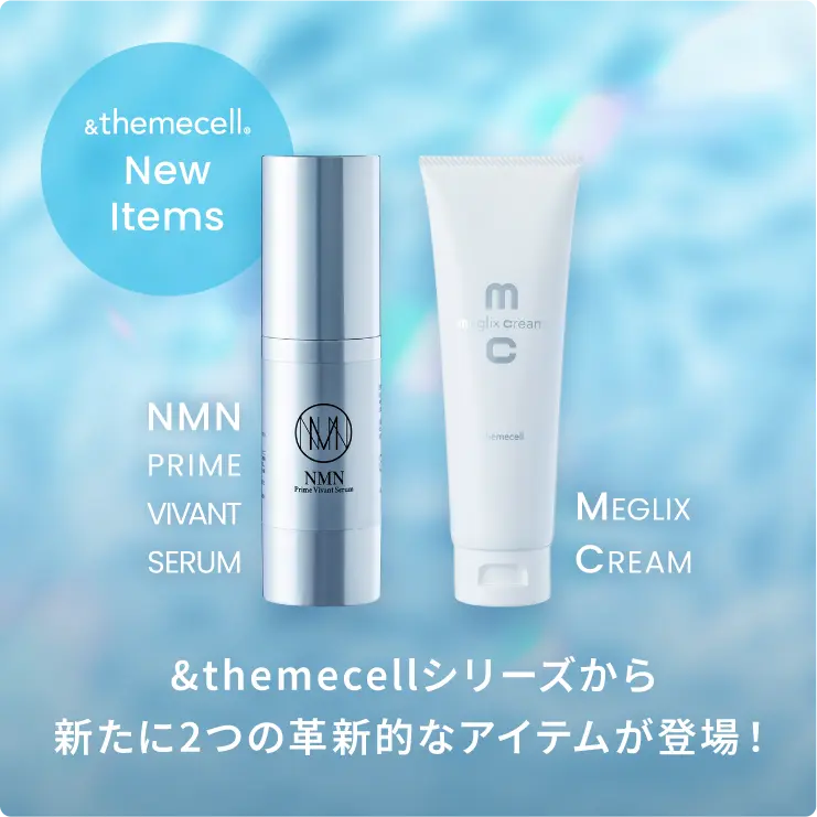 E.MIRAIオンラインショップ